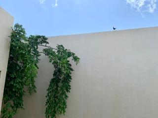 Casa de la Escritora Tranquilo Refugio en Conkal - Conkal - 1