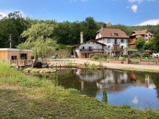 Aux Gîtes de l'Étang - Thannenkirch Bergheim - Thannenkirch - 0