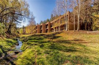 Cozy Creek Condo - 4