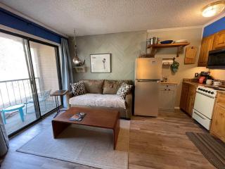 Cozy Creek Condo - 2