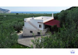 B&B Corte degli Ulivi - 3