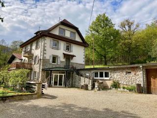 Aux Gîtes de l'Étang - Thannenkirch Bergheim - 1