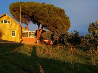 Casa do Pinheiro - Carvalhal - 0