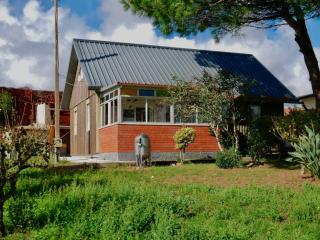 Casa do Pinheiro - Carvalhal - 6