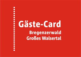 Boutique Apartments Mellau - Mellau - 8