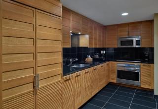 Modern, Luxury Ski-In, Ski-Out Snowmass Village 2 Bedroom Residence - 9