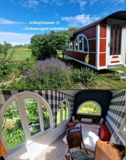 SiLyVi Homes - Scheunenloft am Wasserschloss Usedom-Mitte Familienoase bis 15 Pax spacious big garden dog-friendly - Mellenthin - 4