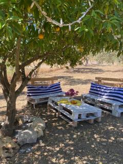 Oasi di pace tra le colline Siciliane con piscina privata - Calatafimi - 3
