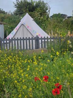 Emilies Bell Tent - St Ives - 9