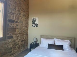 Stone Lodge in Castle A - Chios - 0