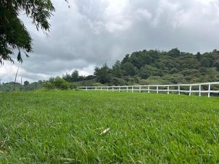Finca Pata Jaguar - Hueytamalco - 2