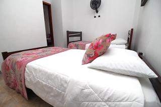 Casa Amazilia - Pereira - 3