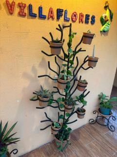 Casa Villaflores Zapotitlán - San Martín Zapotitlán - 7