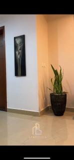 Luxury and classy - - 0