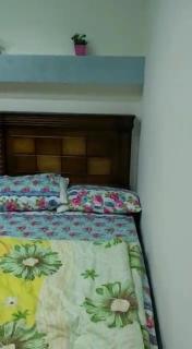 Cozy Apartement for Rent in Sidi Gaber Alexandria - 2