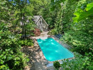 Oasis in the Woods - New Buffalo - 4
