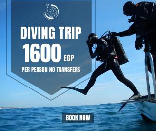 Marina Bay Elegance Room Balcony Overlooking Luxury Yachts - 1