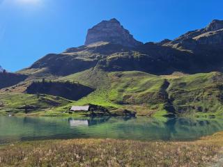 Alpwirtschaft Waldi-Ranch - Muotathal - 5
