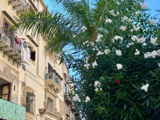 Cùbbula - Palermo - 0