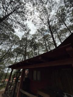 La alborada cabaña de pareja o familiar - Mazamitla - 5
