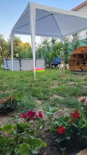 "Olive & Bloom" entire vila with Pool & Private Parking - 8