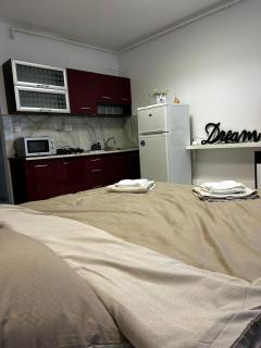 The Lipscani Chich Studio - Bucharest - 3