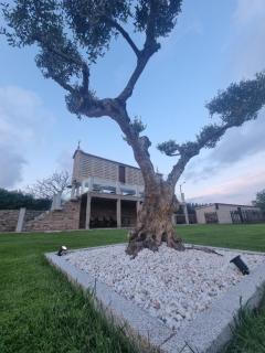 Lar De Dombate -  - 4