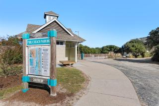 Dog Daze - Corolla - 1