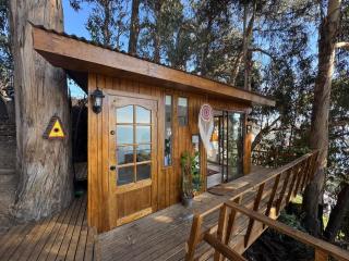 Casa en el arbol - Concón - 4