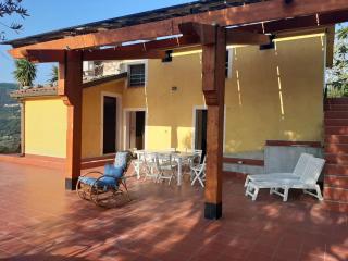 Incrocio di Luce - House in nature - 9