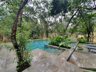 Villa with a private pool - 1