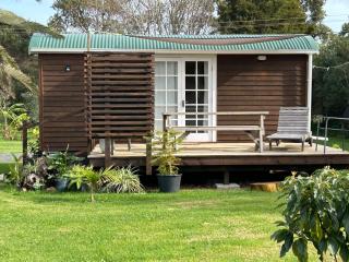 Gumdiggers Tiny House - Lake Ohia - 9