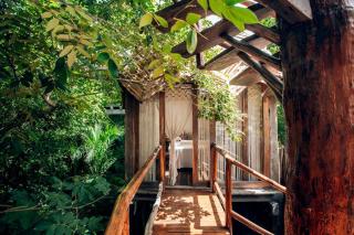 Jungle Sanctuary Wellness Retreat w Pool Bar Spa - 7