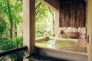 Jungle Sanctuary Wellness Retreat w Pool Bar Spa - 2
