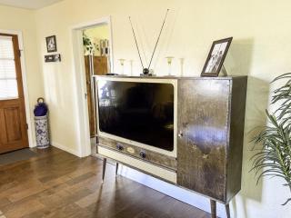 The 1950s Retro Riverside Cottage - Dardanelle - 4
