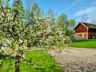 Huset Solhem - - 4