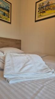 Apartman Tamjanika LUX - Zlatibor - 7