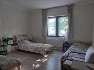 Сјајни лешник - Zrenjanin - 3