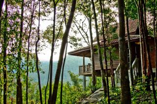 Chestnut Hill Eco Resort Had Yai - Hat Yai - 8