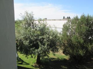 Agriturismo Bingia Bonaria - 2