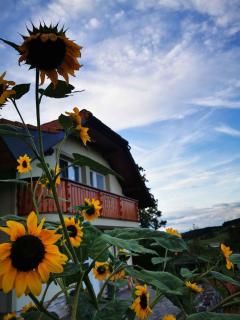 Holiday home in Dvor Kranjska Krain 42901 - Dvor - 9