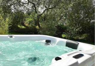 Romantic Shepherds Hut with Hot Tub, Rural Cheshire - Baddiley - 9