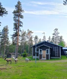 Aurora Cabin - Saariselka - 0