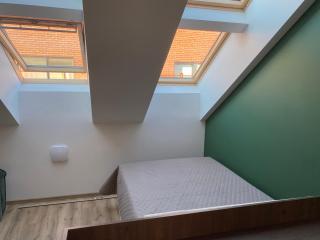 Luxury Old Town River Apartment - Klaipėda - 8