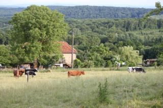 Ferme Pédagogique " L'Bout d'Chemin" - 2