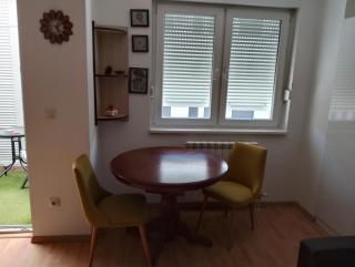 Nela studio - Banja Koviljača - 3