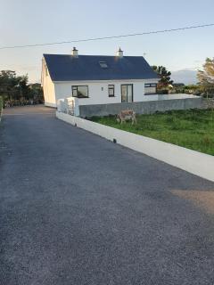 Tigh Oisin - Lettermullan - 0