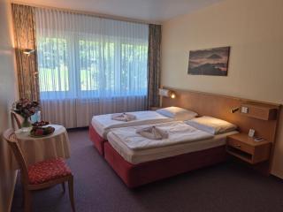 Panorama Hotel Oberwiesenthal - 8