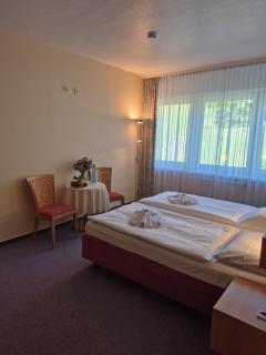 Panorama Hotel Oberwiesenthal - Kurort Oberwiesenthal - 9
