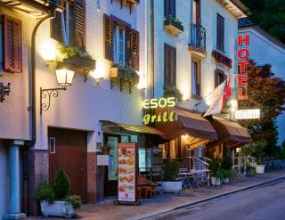 Esos Hotel Quelle - Bad Ragaz - 8